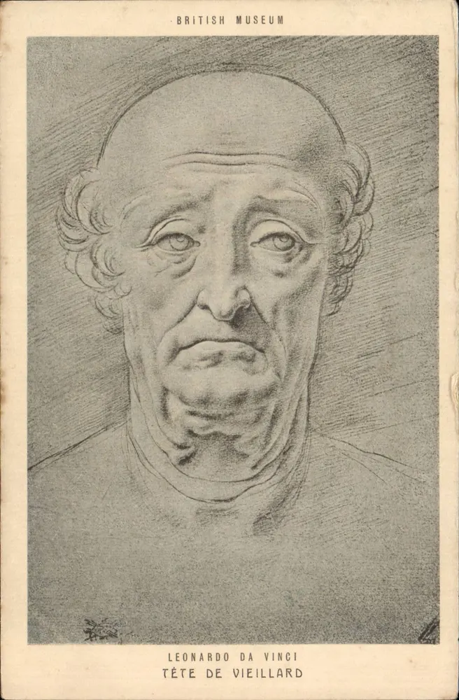 Kopf eines Alten — Leonardo da Vinci — British Museum - Vorderseite