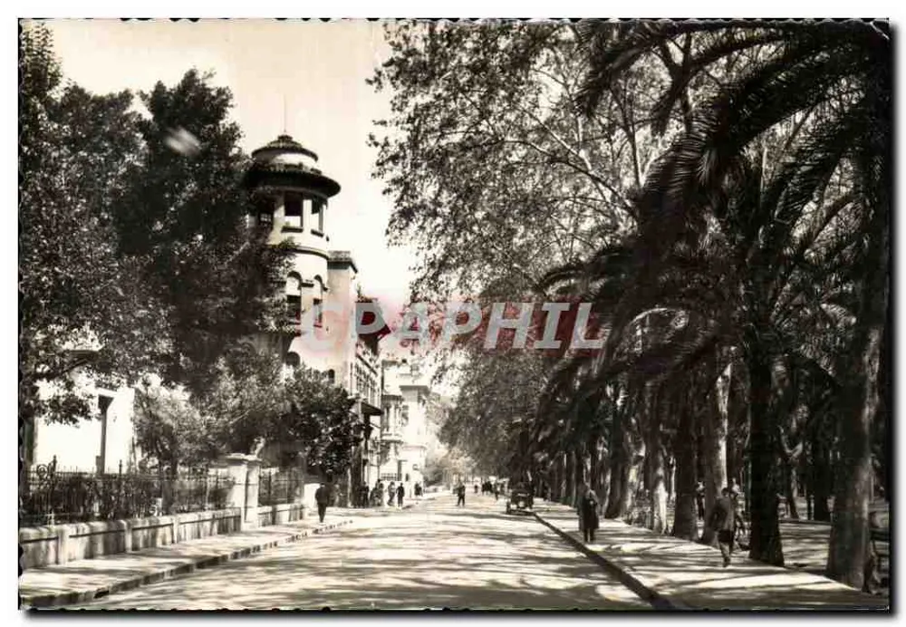 Avenida Cervantes — Malaga — Verlag FOTO D. CORRES, n° 302 - Vorderseite