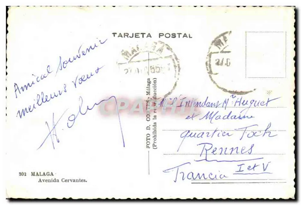 Avenida Cervantes — Malaga — Verlag FOTO D. CORRES, n° 302 - Rückseite