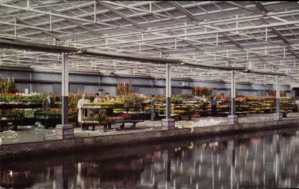 Zentrale Aalsmeerse Vziling, Aalsmeer — Bahn für Beetpflanzen mit Zuführungskanal — Verlag C.A.V., Aalsmeer - Vorderseite