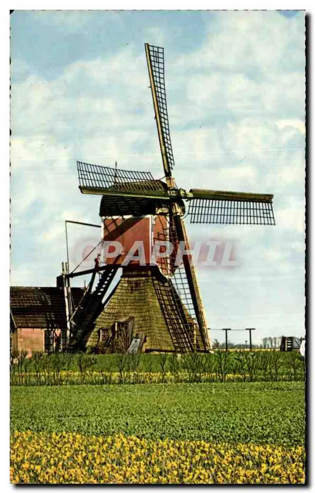 Holländische Mühle — Landschaftsansicht — unbekannter Verlag - Vorderseite