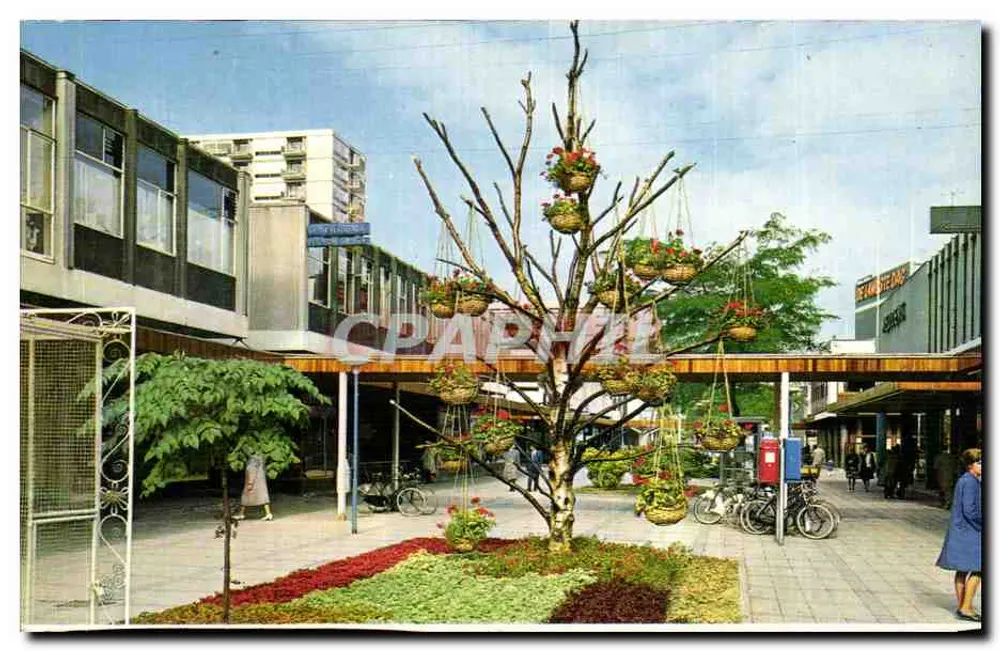 Praça central em Roterdão — decoração floral com árvores em flor — editor Gebr. Spanjertij N.V. Roterdão - Frente