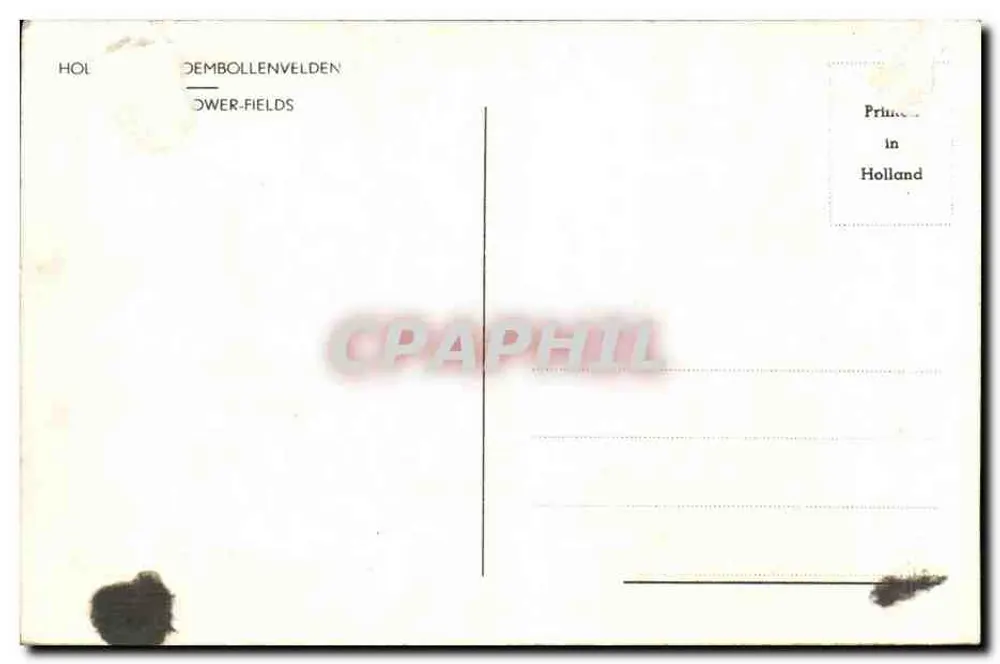 Campi di tulipani — mulino a vento e canale — stampata in Olanda - Verso