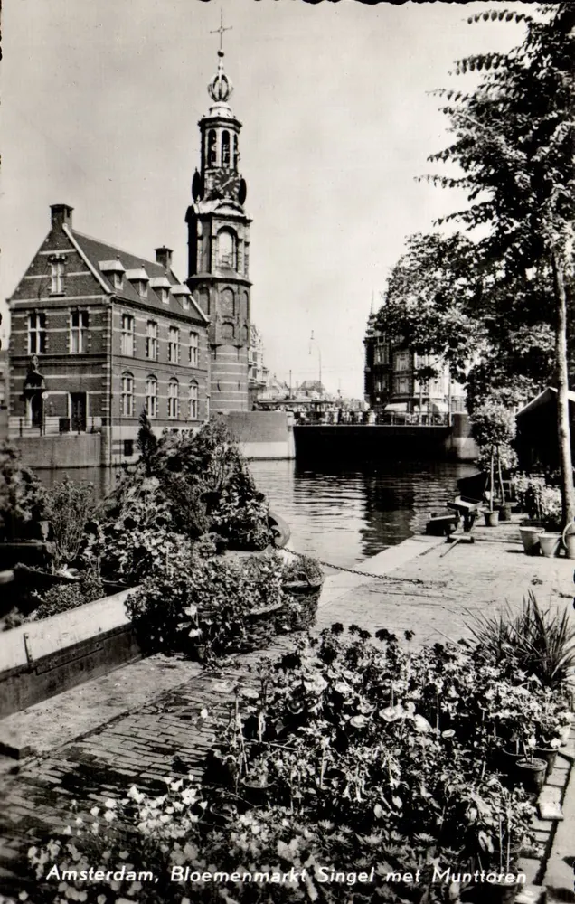 Amsterdam, Bloemenmarkt Singel mit Munttoren — Verlag M. van Guideren & Zoon N.V., Nr. 98 - Vorderseite