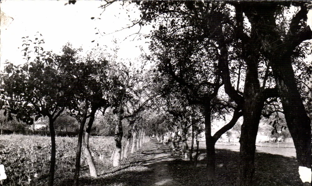 La Providence des Sourds-Muets — Saint-Laurent-en-Royans (Drôme) — Édition P. Blondin - Vorderseite