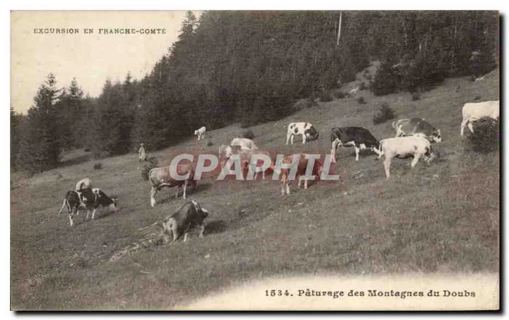 Weide der Berge des Doubs — Ausflug in die Franche-Comté — Verlag L. Gaillard-Petrie, Lesnay - Vorderseite