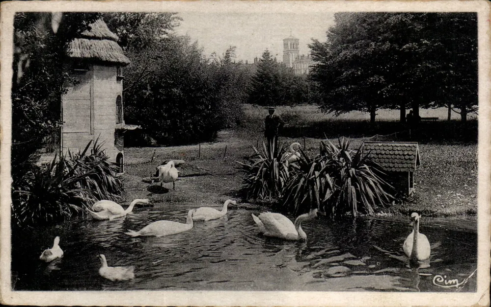 Parc Jouvet — Die Schwäne — Verlag Cim - Vorderseite