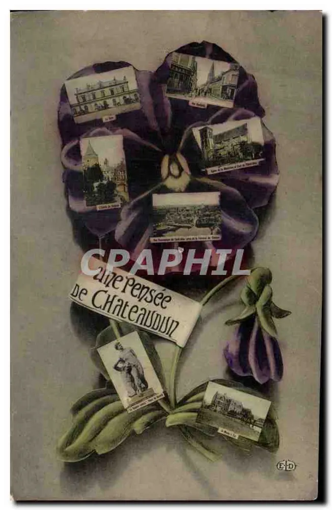 Pensée violette — Châteaubriant — editor GD - Frente