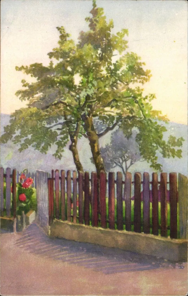 Árvore em um jardim — pintura aquarelada — Kunstverlag Zürich, Série IX n°652 - Frente
