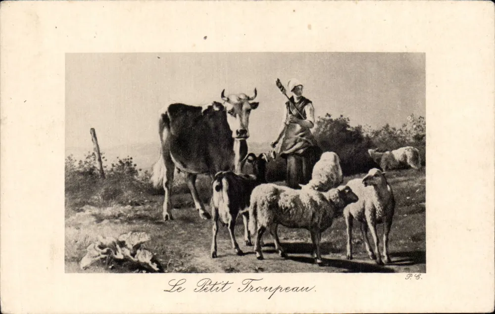 Das kleine Herde — P.C. — V. Lamotte, Thé Maravilla, Blois - Vorderseite