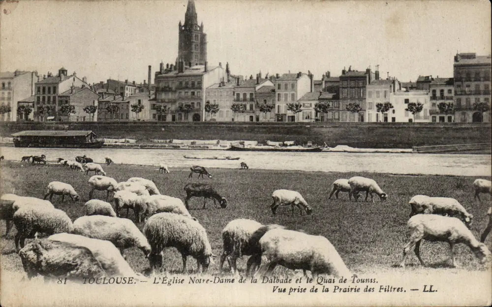 Toulouse — Die Kirche Notre-Dame de la Dalbade und der Quai de Tounss — Ansicht von der Prairie des Filtres — LL. — Nr. 81 - Vorderseite