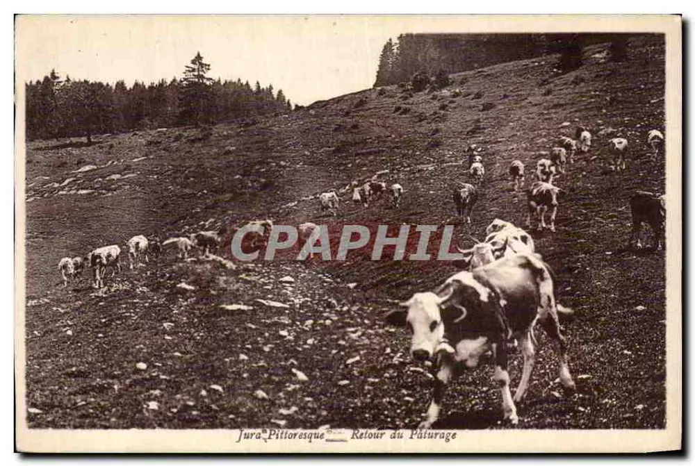 Jura-Pittoresque — Rückkehr vom Weidegang — Verlag und Foto Karrer, Dole - Vorderseite