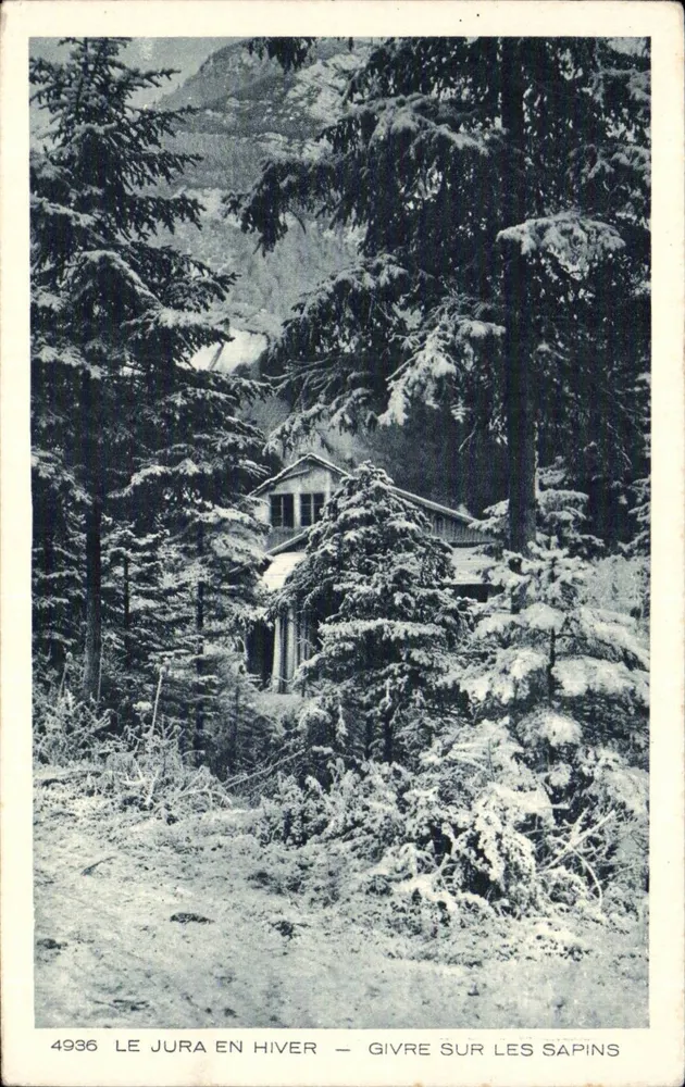 Der Jura im Winter — Frost auf den Tannen — Serie 4936 - Vorderseite