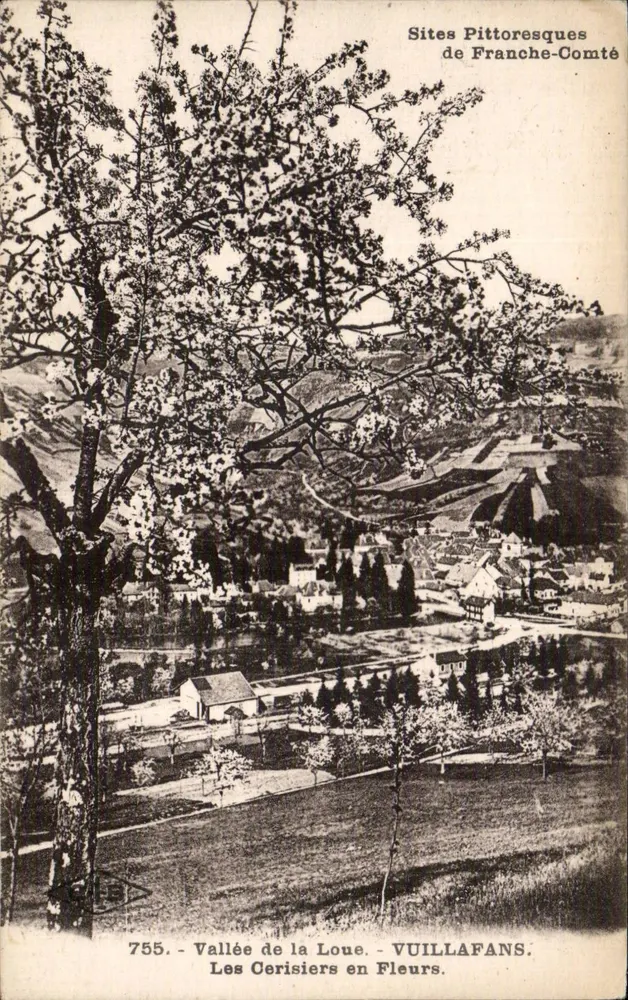 Tal der Loue - Kirschbäume in Blüte — VUILLAFANS — Pikturische Orte der Franche-Comté, Nr. 755 - Vorderseite