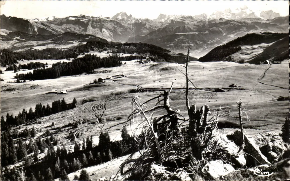 Um Taninges — Praz-de-Lys (Haute-Savoie) — Comlier Int. L. (S.-et-L.) - Vorderseite