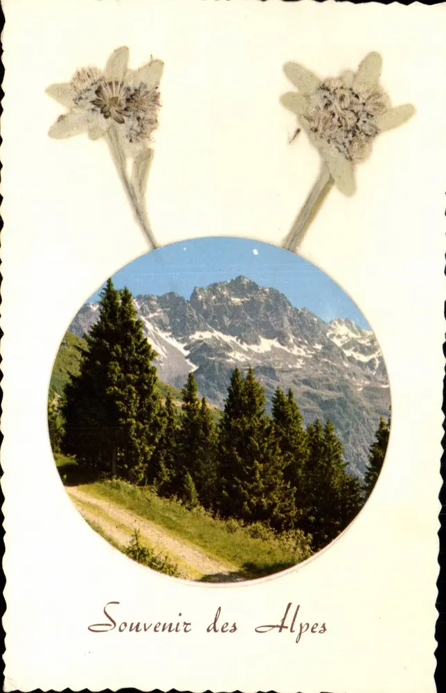 Lembrança das Alpes — Edição de Arte Grenoble — n° 12345 - Frente