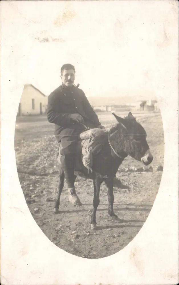 Soldat auf einem Esel — Frankreich, 1915 — Ansichtskarte - Vorderseite