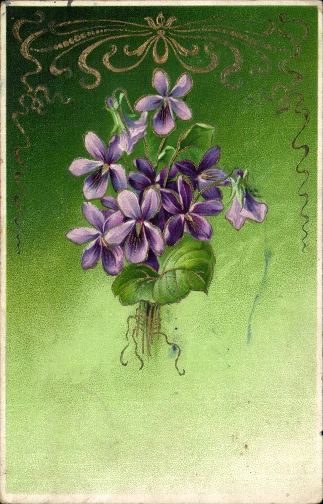 Arranjo de violetas — editor desconhecido, número de série não visível - Frente