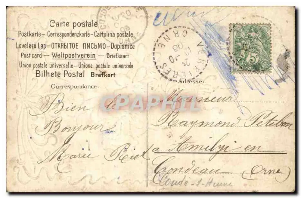 Arranjo de violetas — editor desconhecido, número de série não visível - Verso