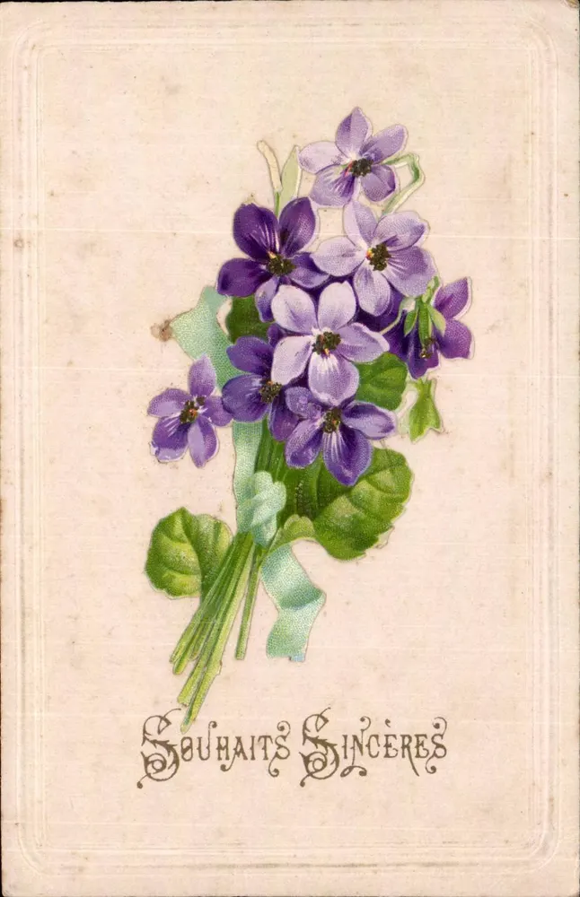 Büschel Violetter — Aufrichtige Wünsche — Karteikarte - Vorderseite