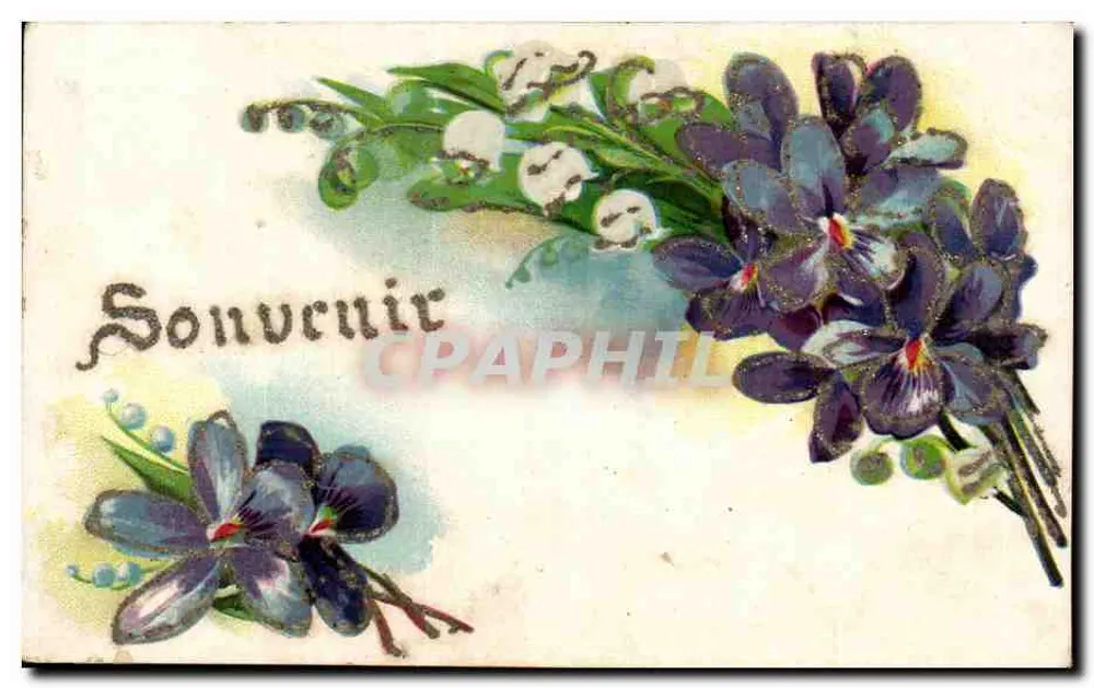Flores — violetas e muguet — editor B, série 2834 - Frente