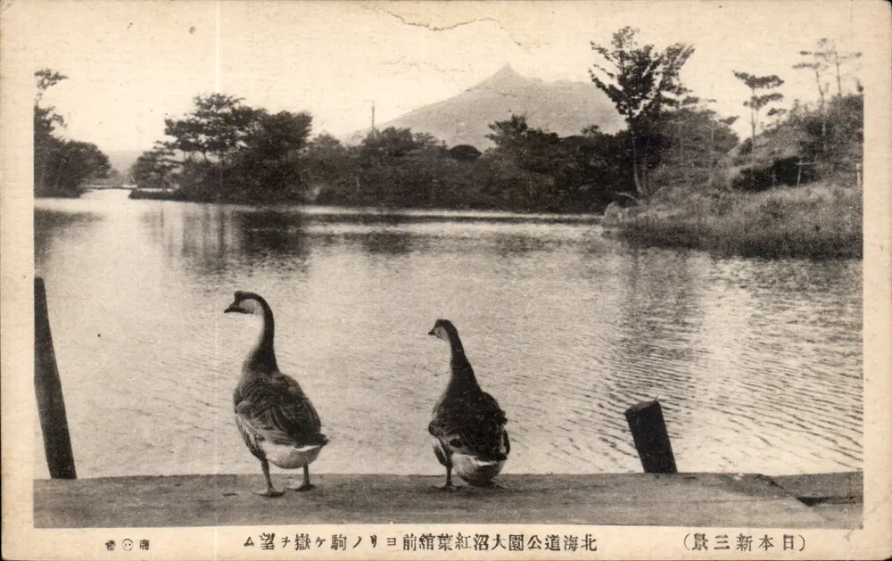 Dois patos na margem de um lago — vista da montanha de Hakodate — editor desconhecido, série não identificada - Frente