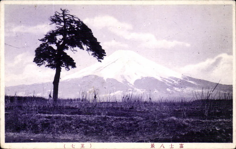 Monte Fuji — árvore solitária — editor desconhecido, série (七其) (7º) - Frente