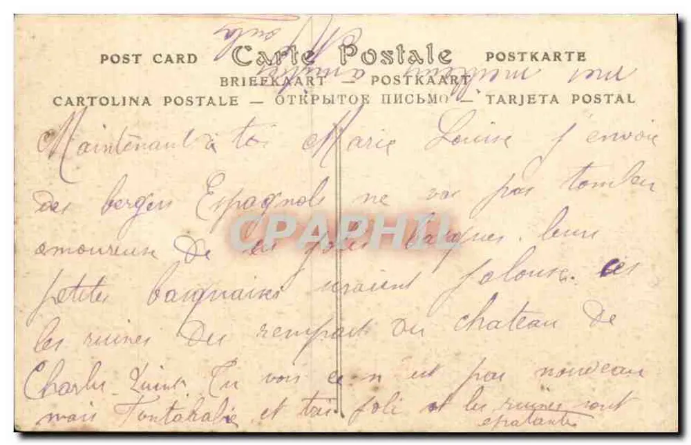 Fuenterrabia — Pastor Pirenaico — ND. Fot. - Verso