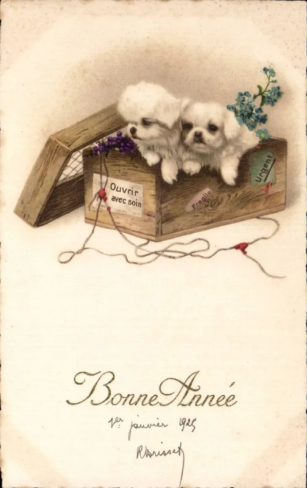 Zwei Welpen in einer Box — Jahreskarte 1925 — unbekannter Verlag - Vorderseite