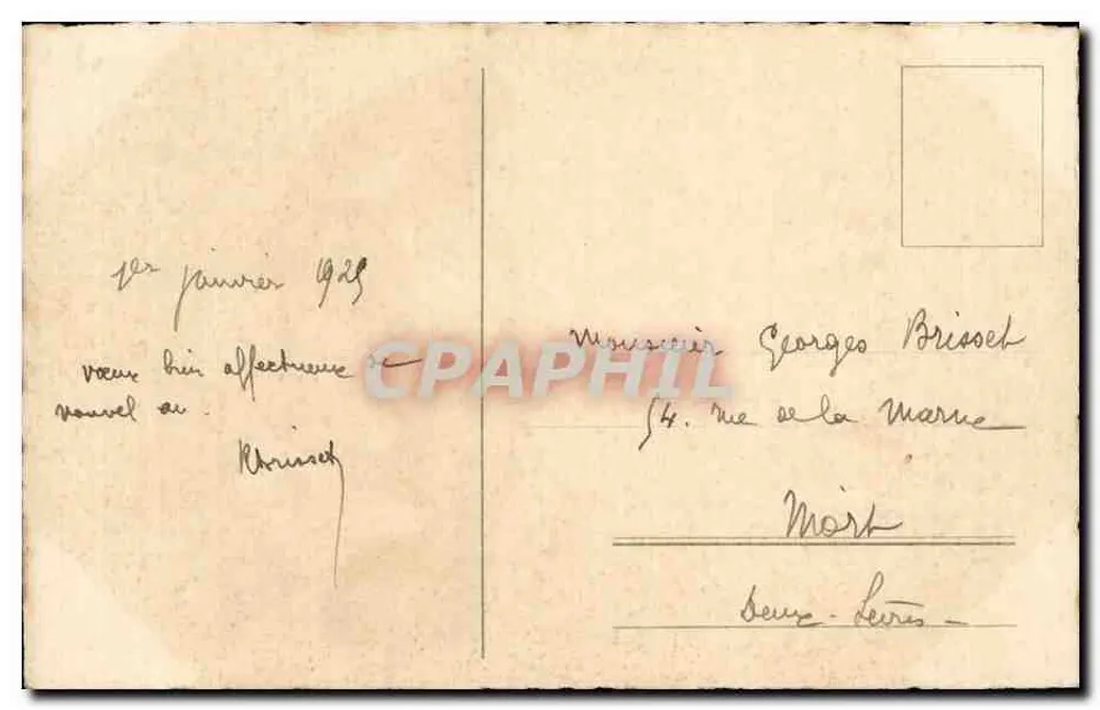 Zwei Welpen in einer Box — Jahreskarte 1925 — unbekannter Verlag - Rückseite