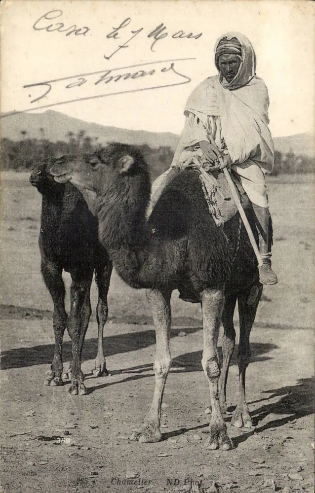 Camelo e carregador de camelos — cena desértica — Chamelier ND Phot, n° 285 - Frente