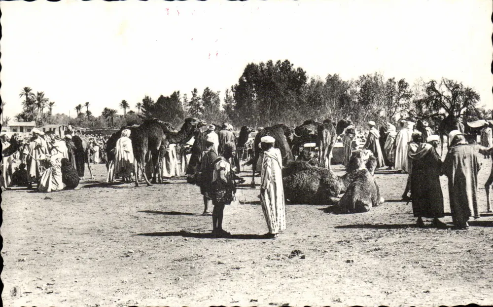 Kamelmarkt — Ägypten — F. SENECLAUZE, St. Eugène, Oxyan - Vorderseite
