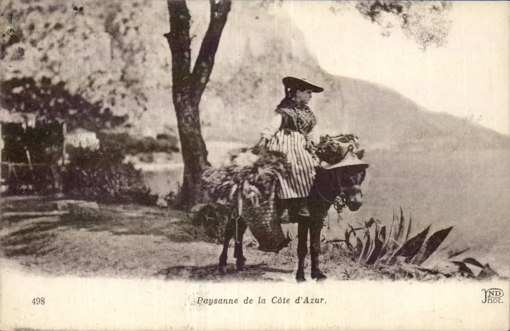 Camponesa da Costa Azul — montada em mulo, com cesta — JND Phot. - Frente