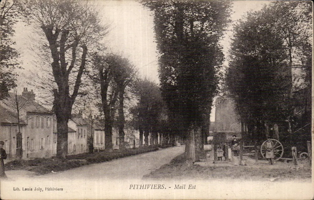 Pithiviers - Mail Est — vista da rua cercada por árvores — Lib. Louis Joly, Pithiviers - Frente