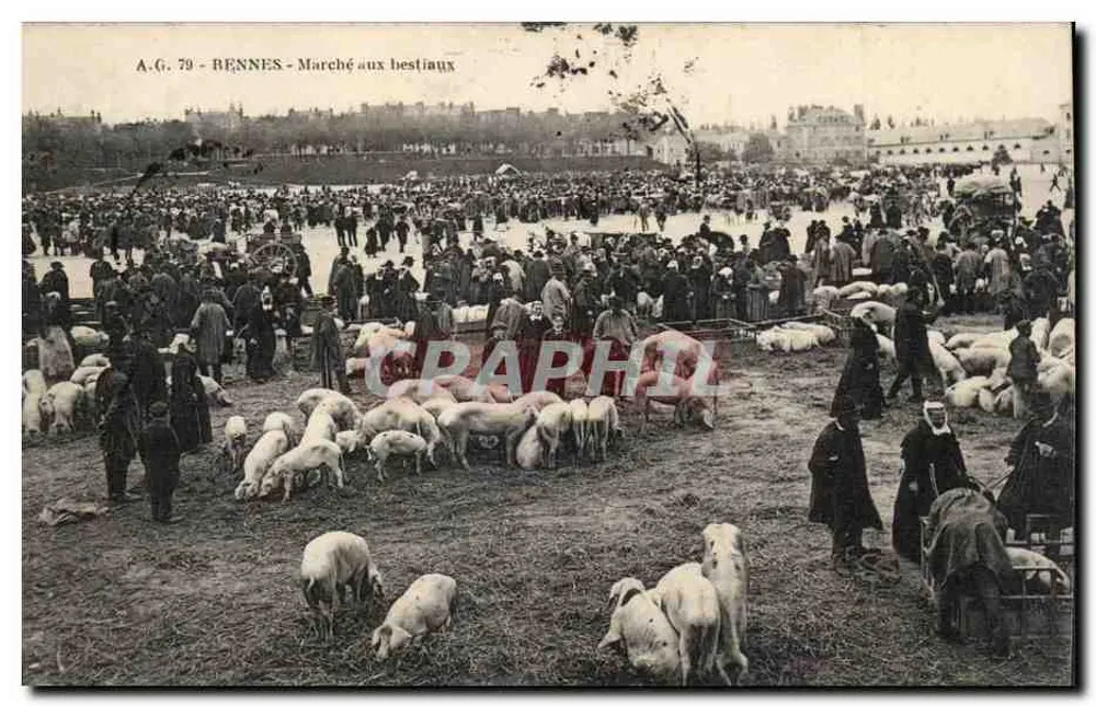 Rennes - Viehmarkt — A.G. 79 - Vorderseite