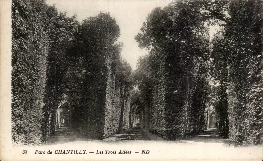 Parc de CHANTILLY — Les Trois Allées — ND - Frente