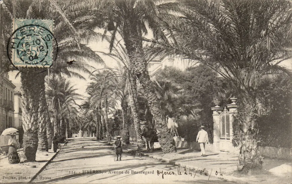 Hyères - Avenue de Beauregard — uitzicht op geschilderde avenue met palmen — Poullan, fotograaf-uitgever, Hyères, n°114 - Voorkant