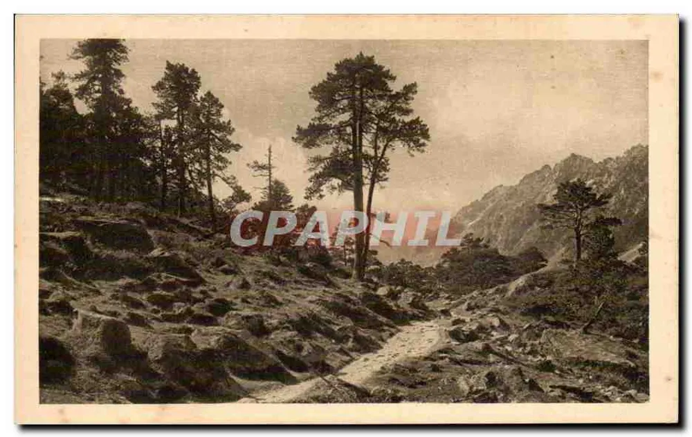 Pad naar het meer van Gaube — Cauterets — Weg naar het meer van Gaube — uitgaven van Henri Viscomin, Vau - Voorkant