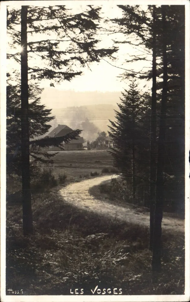 Les Vosges — vista de estrada florestal — Huss.G - Frente
