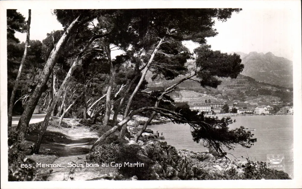Menton — Matagal no Cap Martin — Munier - Frente