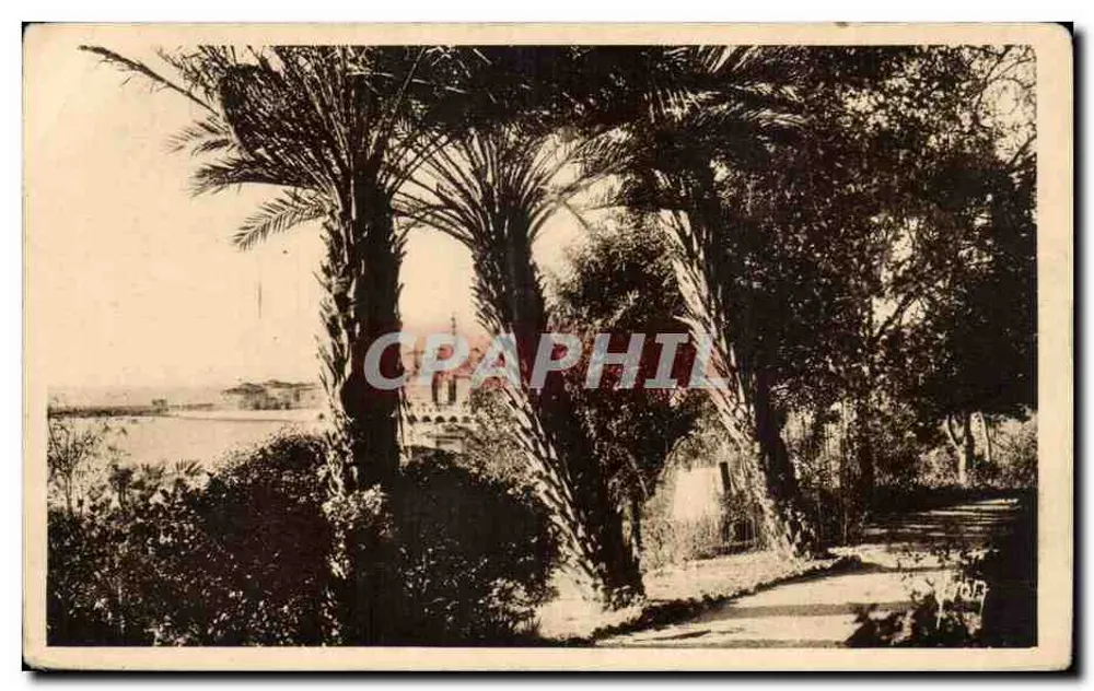 Ansicht von Menton — Palmen und Aussicht aufs Meer — Les Éditions de l'Art YVON, Paris - Vorderseite