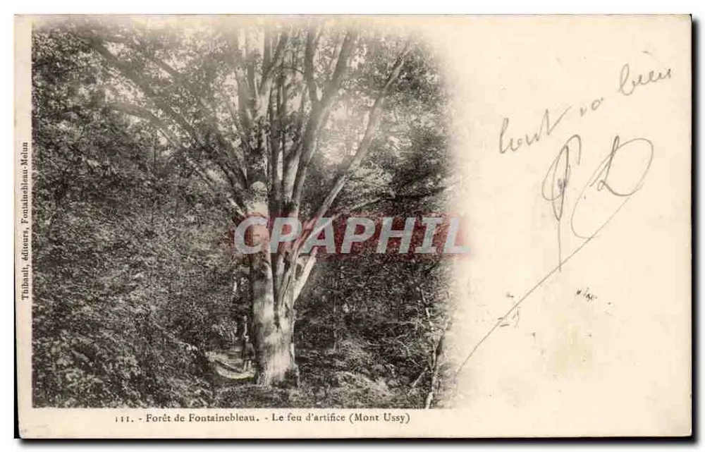 Wald von Fontainebleau - Feuerwerk (Mont Ussy) — Tibhanil, Verleger, Fontainebleau-Melun, Nr. 111 - Vorderseite