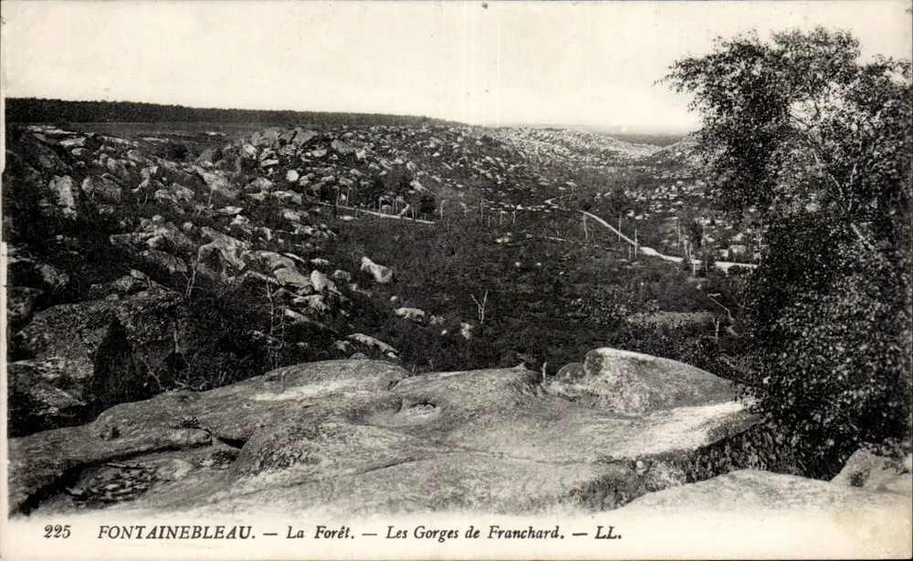 Fontainebleau — Die Forêt — Les Gorges de Franchard — LL. — N° 225 - Vorderseite