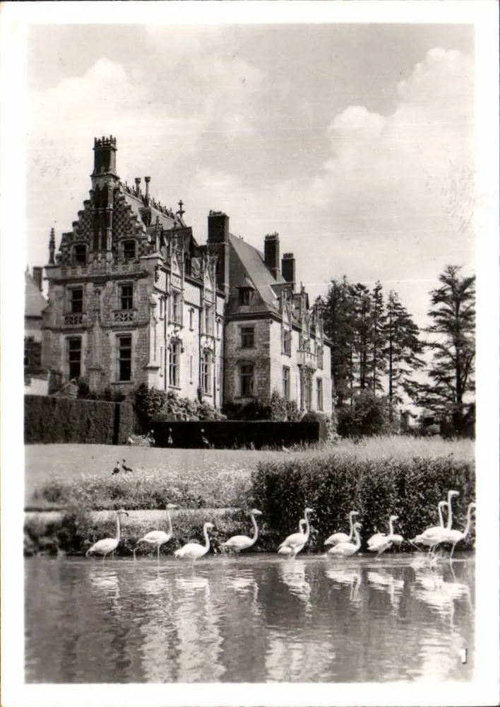 Castelo da Motte — vista com flamingos — editor desconhecido - Frente