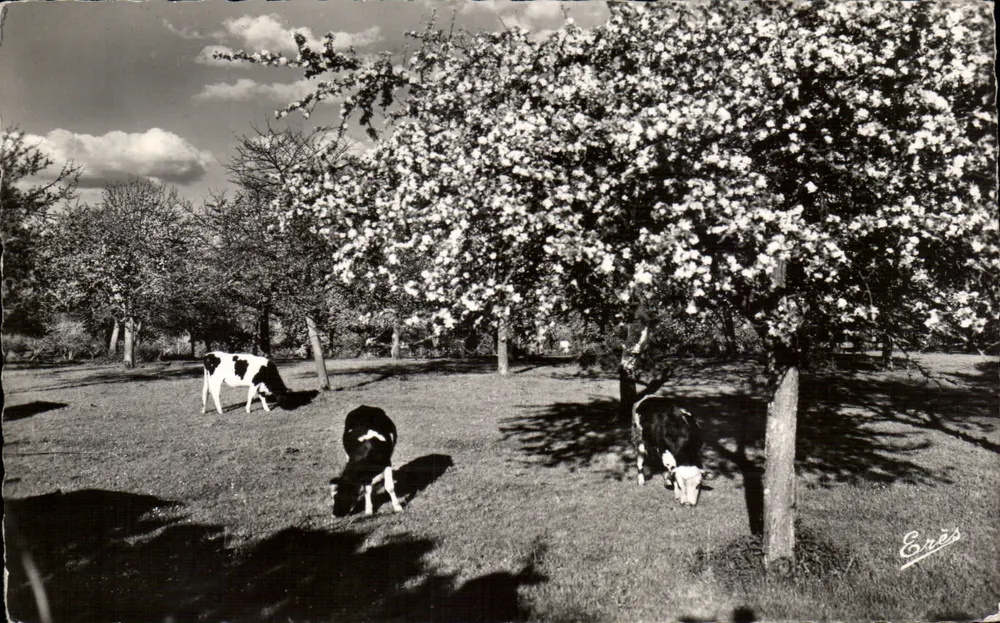 Frühling im Bray-Gebiet — Gournay-en-Bray — Érèz - Vorderseite