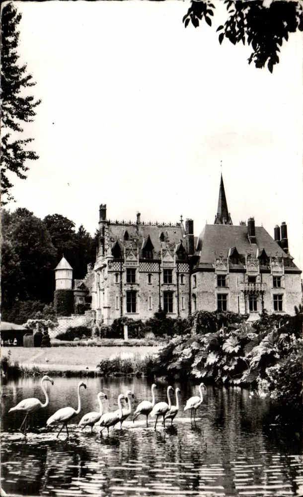 Schloss Clères — Fassade und rosa Flamingos — Édition C. Magin - Vorderseite
