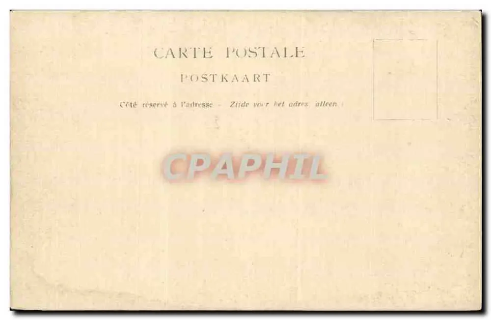 Reggimento di cavalleria — foto di gruppo all'aperto — nessun editore o numero di serie visibile - Verso