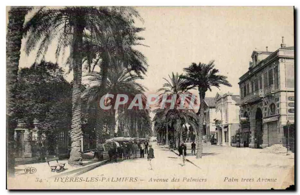 Hyères-les-Palmiers — Avenue des Palmiers — Imp. Le Dbley, Paris - Vorderseite