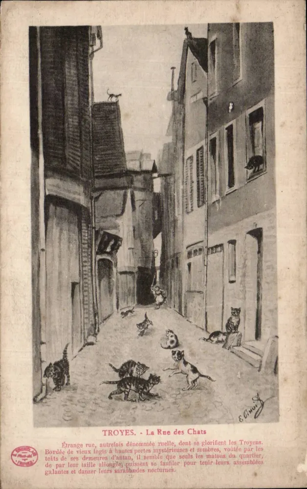 Troyes - A Rua dos Gatos — Editor E. Goury, n° 20 - Frente
