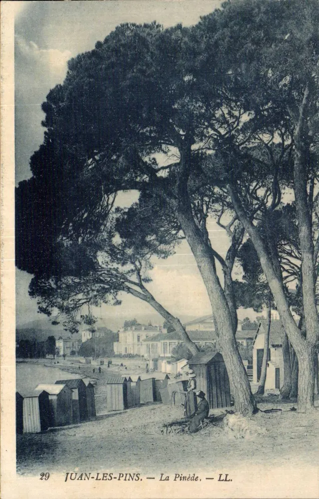 Juan-les-Pins — A Pinède — LL. - Frente